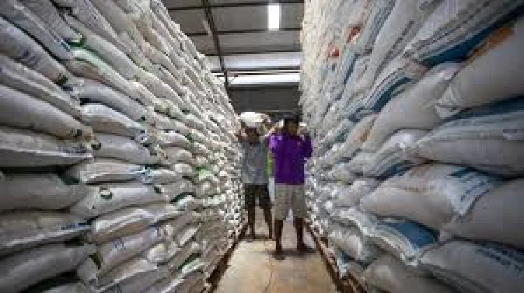 Stok Beras Tertinggi dalam 57 Tahun, Pemerintah Optimistis Capai Swasembada Pangan 2025