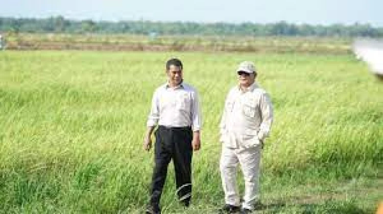 Presiden Prabowo Pimpin Transformasi Kedaulatan Pangan Nasional 2025