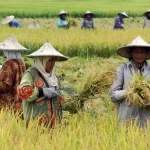 Pemerintah Pastikan Demonstrasi Tidak Ganggu Program Swasembada Pangan