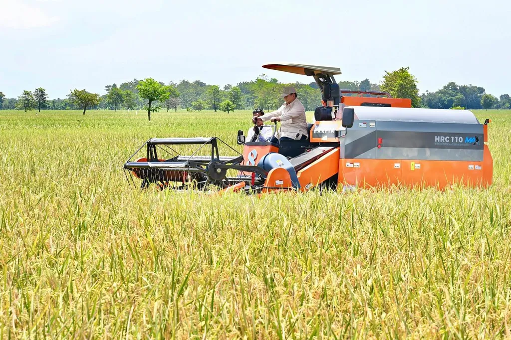 Papua Jadi Fokus Kedaulatan Pangan dan Pembangunan Berkelanjutan di Satu Tahun Pemerintahan Prabowo–Gibran