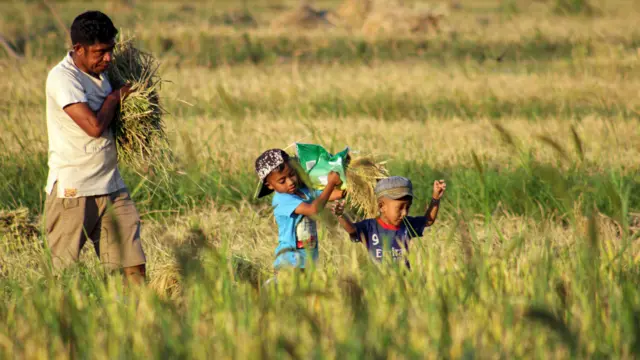 Generasi Muda Jadi Penggerak Swasembada dan Kedaulatan Pangan Nasional di Era Prabowo Gibran