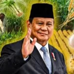 Setahun Pemerintahan Prabowo, Wujudkan Ketahanan Pangan Kian Kuat