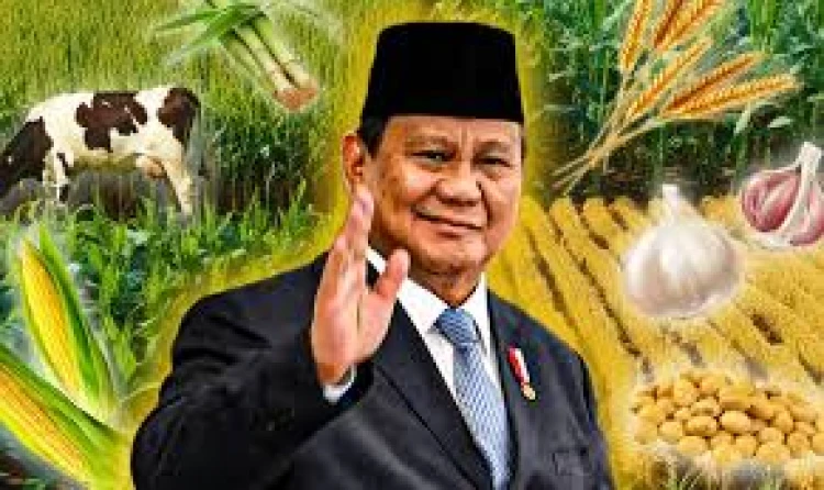 Setahun Pemerintahan Prabowo, Wujudkan Ketahanan Pangan Kian Kuat