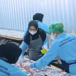 Pemerintah Terus Gerakkan Seluruh Elemen dalam Sukseskan Program MBG