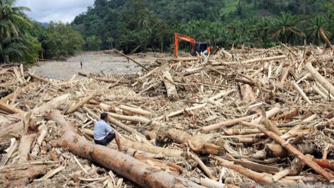 Presiden Prabowo Tegaskan Penindakan Tegas Penebangan Hutan Pasca Bencana di Sumatera