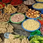 PSN di Papua Pegunungan Dorong Kemandirian Ekonomi dan Pangan