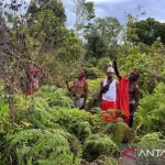Pemerintah Perkuat Pembangunan Papua Berkelanjutan, Terintegrasi, dan Berbasis HAM