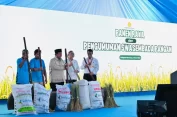 Pencapaian Swasembada Pangan 2025 Tingkatkan Kesejahteraan Petani dan Cadangan Pangan Nasional