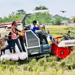 Indonesia Berhasil Capai Swasembada Pangan Lebih Cepat dari Target