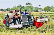 Indonesia Berhasil Capai Swasembada Pangan Lebih Cepat dari Target