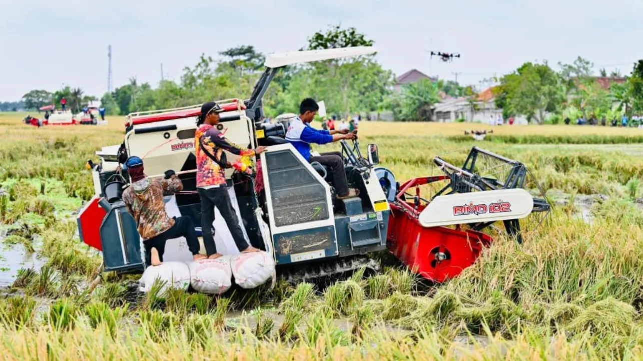 Indonesia Berhasil Capai Swasembada Pangan Lebih Cepat dari Target