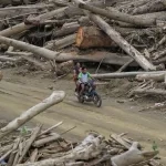 Pemerintah Terus Bersihkan dan Salurkan Kayu Gelondongan untuk Pemulihan Akses dan Permukiman