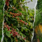 Hilirisasi Perkebunan Rakyat Didorong, Nilai Tambah Petani Jadi Fokus