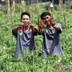 Swasembada Pangan Menguat, Fondasi Keberlanjutan dan Kesejahteraan Petani Turut Diperkuat