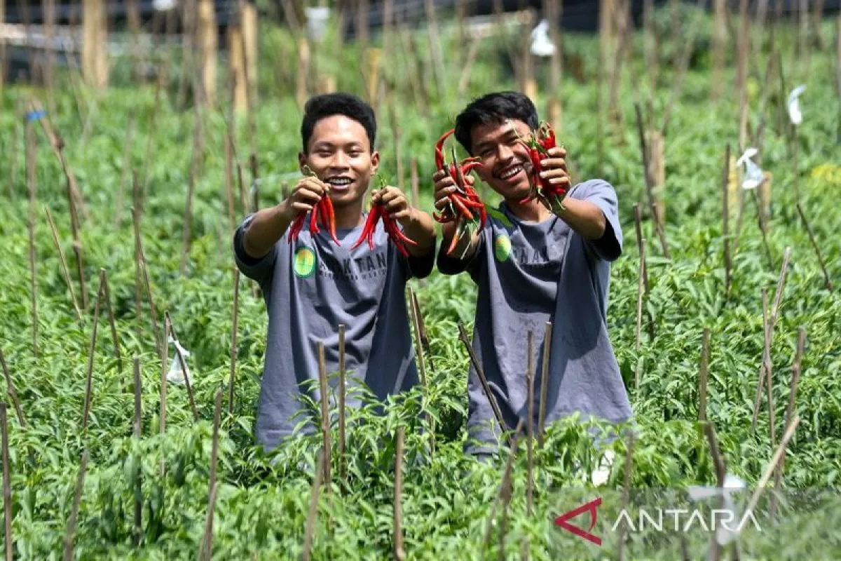 Swasembada Pangan Menguat, Fondasi Keberlanjutan dan Kesejahteraan Petani Turut Diperkuat
