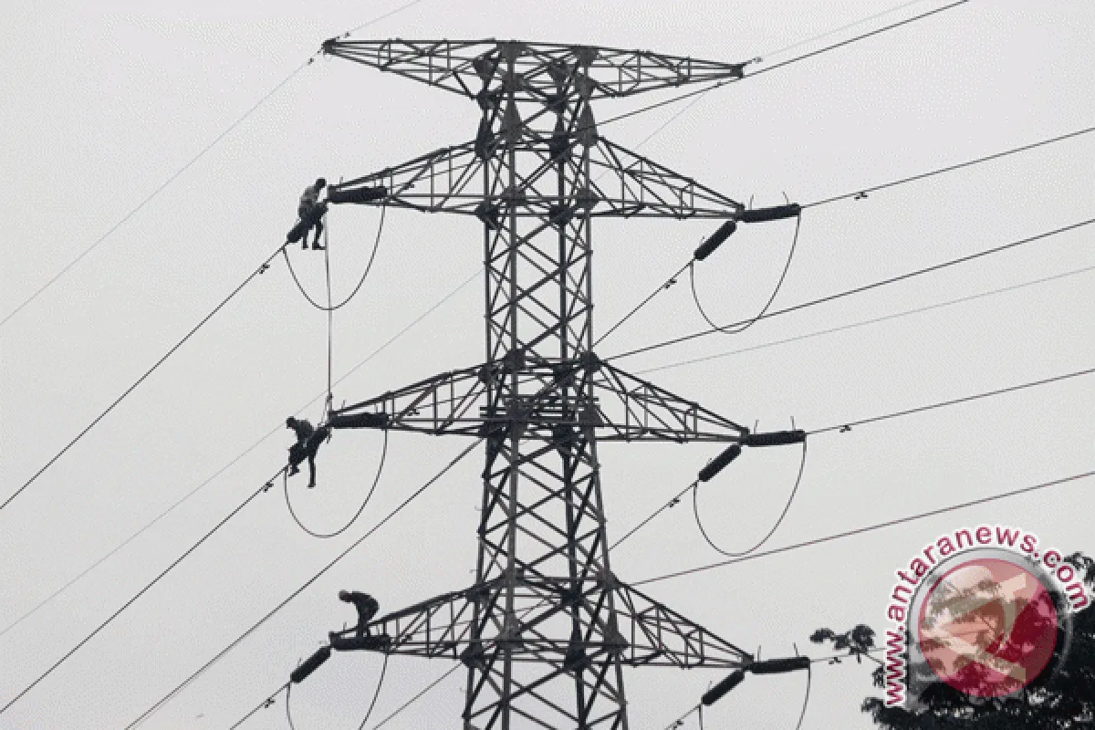 Pemerintah Dorong Swasembada Energi untuk Perluas Akses Listrik Desa