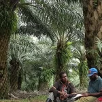 Papua dalam Arah Baru Swasembada Energi Nasional yang Berkeadilan