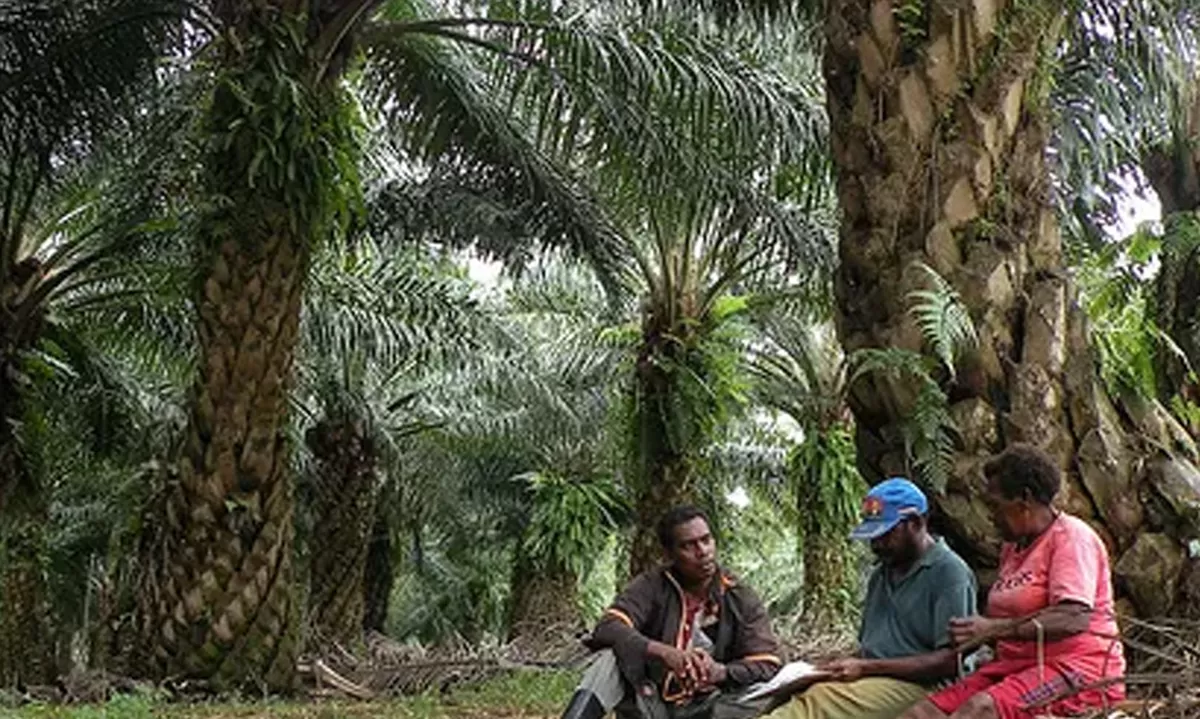 Papua dalam Arah Baru Swasembada Energi Nasional yang Berkeadilan