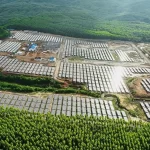 Investasi Energi Bersih Didorong untuk Percepat Transisi Rendah Karbon