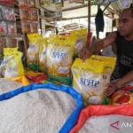 Apresiasi dan Dukungan Menguat, Swasembada Pangan Multi Komoditas Masuki Babak Baru