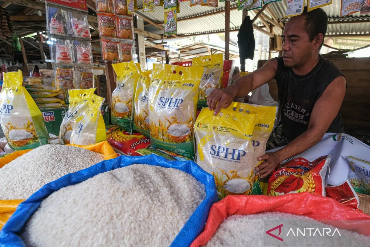 Apresiasi dan Dukungan Menguat, Swasembada Pangan Multi Komoditas Masuki Babak Baru